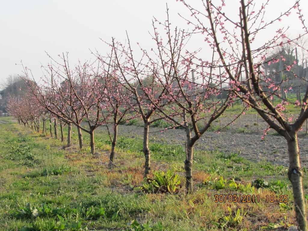 Agriturismo Ca' Baccan Cavallino-Treporti Bagian luar foto