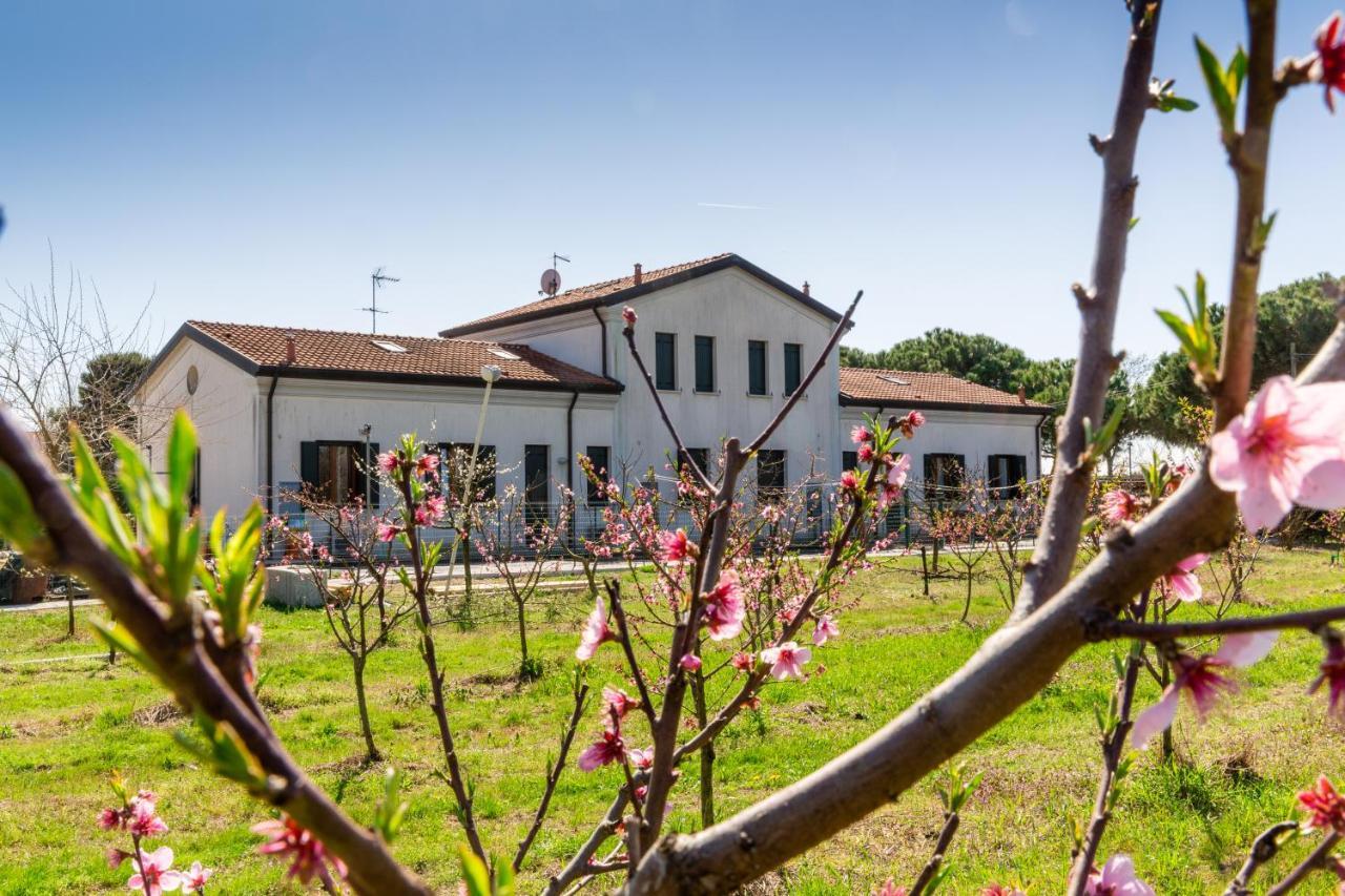 Agriturismo Ca' Baccan Cavallino-Treporti Bagian luar foto
